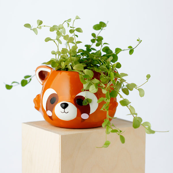 Animal Themed Novelties