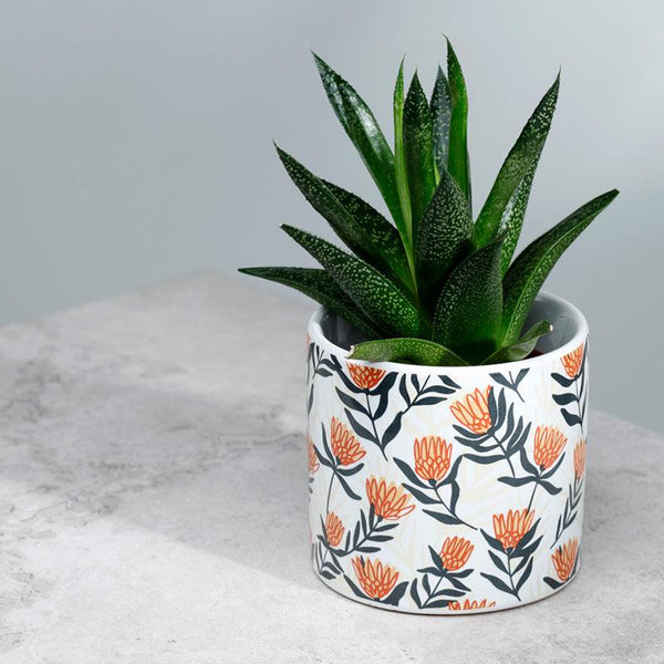 Botanical Gifts